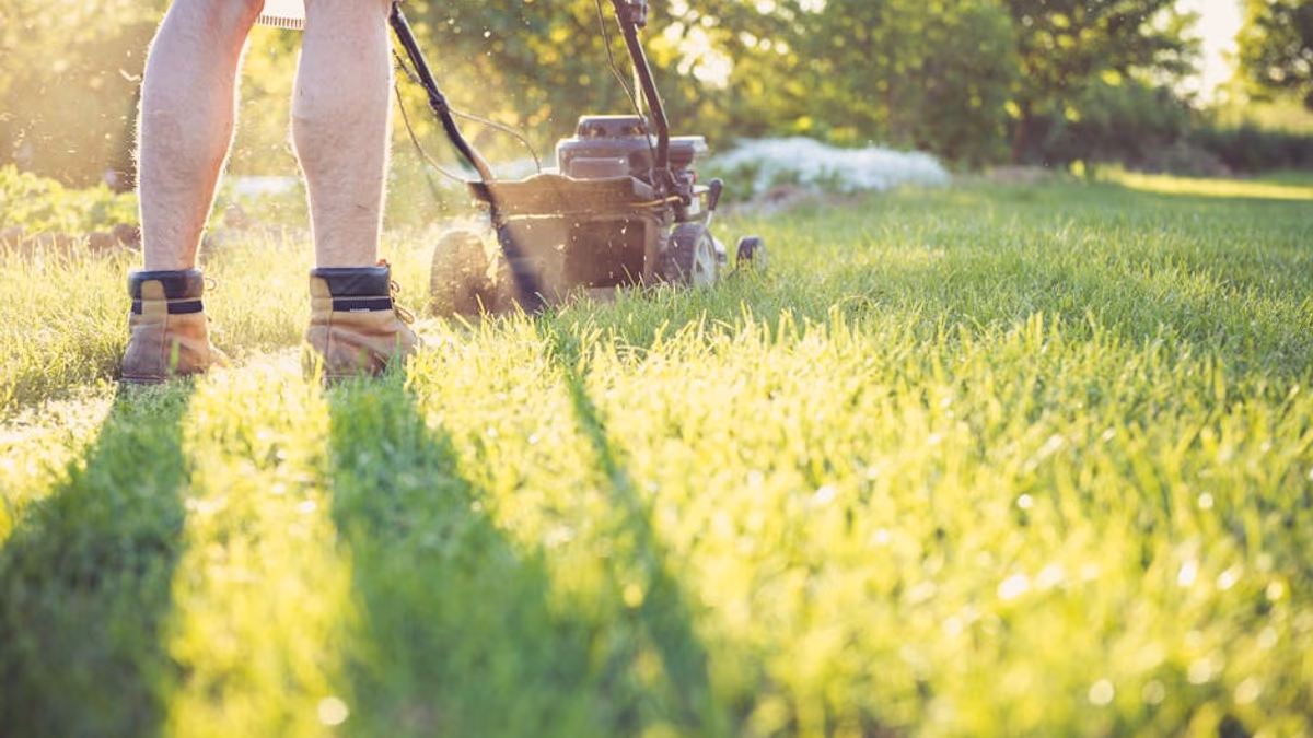 Petrol lawnmower being serviced in spring sunshine